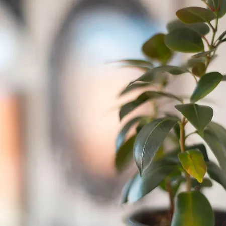 Appartement Casa Monica El Sauzal